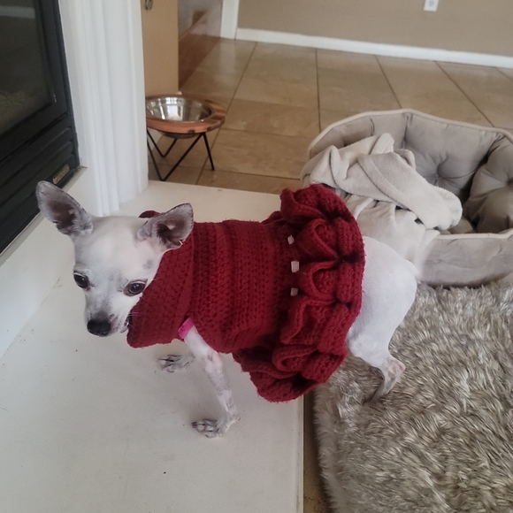 Welcome to my Closet! 💐 - Picture 13 of 14